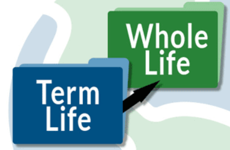 Term And Whole Life Insurance